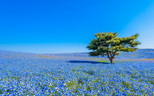 953792 (a): :2880x1800